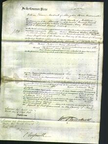 Court of Common Pleas - Catherine Mary Roberts-Original Ancestry