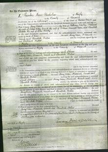 Court of Common Pleas - Mary Ann Cowley, Hannah Odey, Sarah Dove and Elizabeth Helen Beesley-Original Ancestry