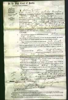 Court of Common Pleas - Alice Fitz Gibbon-Original Ancestry