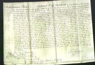 Court of Common Pleas - Jane Plumley-Original Ancestry