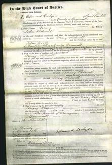 Court of Common Pleas - Mary Pidwell-Original Ancestry