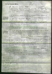 Court of Common Pleas - Celina Flower-Original Ancestry