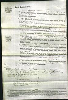 Court of Common Pleas - Eliza Jackton-Original Ancestry