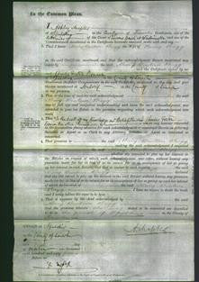 Court of Common Pleas - Mary Benton Bugg-Original Ancestry