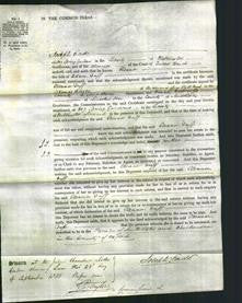 Court of Common Pleas - Eleanor Duff-Original Ancestry