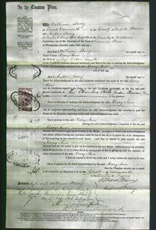 Court of Common Pleas - Mary Ann Smith-Original Ancestry