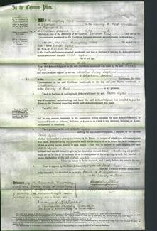 Court of Common Pleas - Sarah Lydia Kent-Original Ancestry