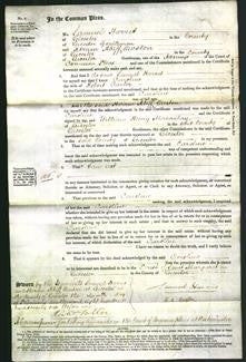 Court of Common Pleas Document - Caroline Carter-Original Ancestry