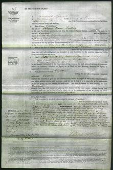 Court of Common Pleas - Caroline Lindsey-Original Ancestry