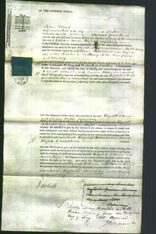 Court of Common Pleas - Isabella Blessed and Elizabeth Atkinson-Original Ancestry