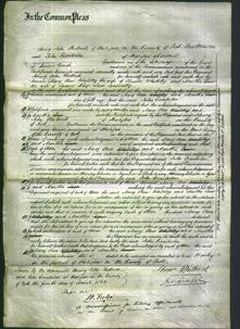 Court of Common Pleas - Mary Ann Whiteley and Martha Law-Original Ancestry