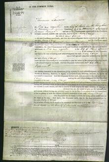 Court of Common Pleas - Mary L'Ange-Original Ancestry