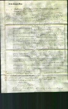 Court of Common Pleas - Ann Hoskins-Original Ancestry