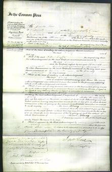 Court of Common Pleas - Mary Lees-Original Ancestry