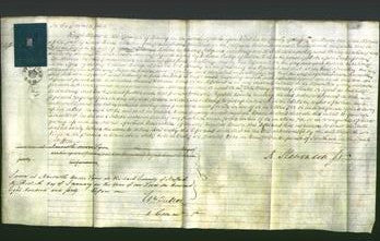 Court of Common Pleas - Elizabeth Rosson-Original Ancestry