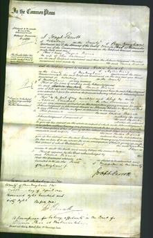 Court of Common Pleas - Emma Maria Southam-Original Ancestry
