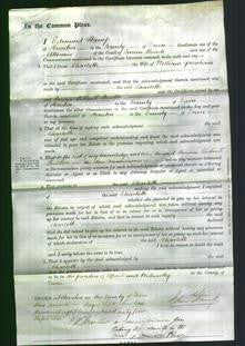 Court of Common Pleas - Charlotte Greenham-Original Ancestry