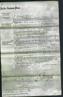 Court of Common Pleas - Fanny Stockley-Original Ancestry