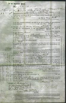 Court of Common Pleas - Jane Peach-Original Ancestry