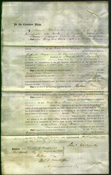 Court of Common Pleas - Mary Jane Brown-Original Ancestry