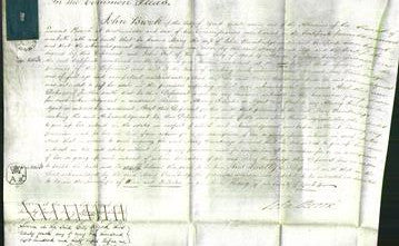 Court of Common Pleas - Mary Bainbridge-Original Ancestry