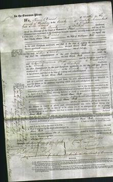 Court of Common Pleas - Ann Bolt-Original Ancestry