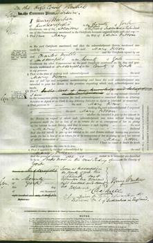 Court of Common Pleas - Mary Fitton-Original Ancestry