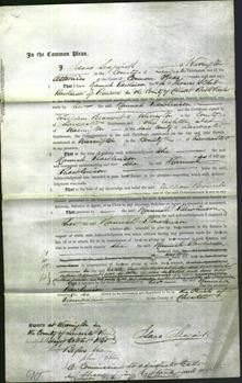 Court of Common Pleas - Hannah Rawlinson-Original Ancestry