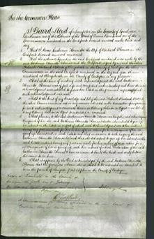 Court of Common Pleas - Catherine Henrietta Thomas-Original Ancestry