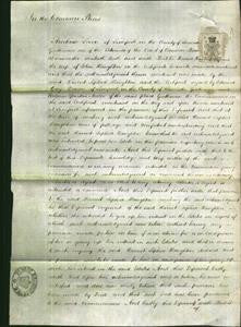 Court of Common Pleas - Harriet Sophia Haughton-Original Ancestry