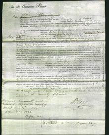Court of Common Pleas - Julia Georgia Bolt-Original Ancestry