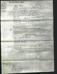 Court of Common Pleas - Elizabeth Topping-Original Ancestry