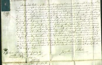 Court of Common Pleas - Mary Ann Briscoe-Original Ancestry