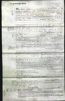 Court of Common Pleas - Eliza Jones-Original Ancestry