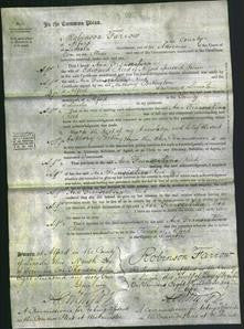 Court of Common Pleas - Ann Franscelina Reed-Original Ancestry