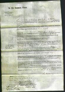 Court of Common Pleas - Mary Wilsdon-Original Ancestry