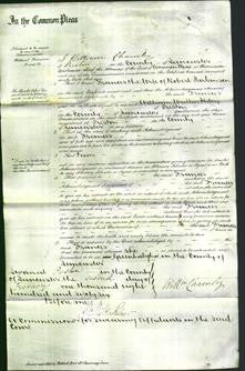 Court of Common Pleas - Frances Parkinson-Original Ancestry