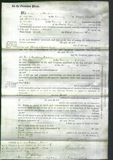 Court of Common Pleas - Sarah Parr-Original Ancestry