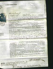 Court of Common Pleas - Sarah Angrave-Original Ancestry