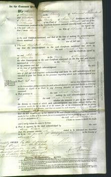 Court of Common Pleas - Sarah Cattell-Original Ancestry