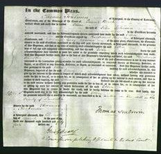 Court of Common Pleas - Ellen Johnson-Original Ancestry