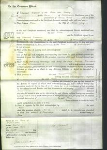 Court of Common Pleas - Hellen Gray-Original Ancestry