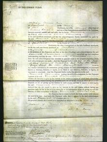 Court of Common Pleas - Hannan Wenman-Original Ancestry