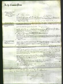 Court of Common Pleas - Ellen Grace Wentworth-Original Ancestry