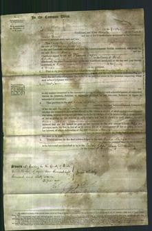 Court of Common Pleas - Anna Maria Jesse-Original Ancestry