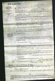 Court of Common Pleas - Jane Smith-Original Ancestry