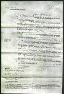 Court of Common Pleas - Celina Flower-Original Ancestry