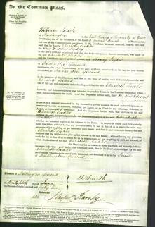 Court of Common Pleas - Elizabeth Sinkler-Original Ancestry