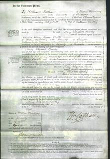 Court of Common Pleas - Mary Elizabeth Bowley-Original Ancestry