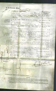 Court of Common Pleas - Mary Bailey-Original Ancestry